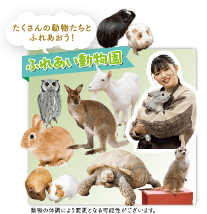 ふれあい動物園