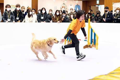 プレゼンテーションをする学生