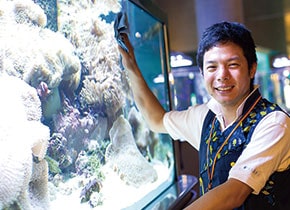 水族館飼育員